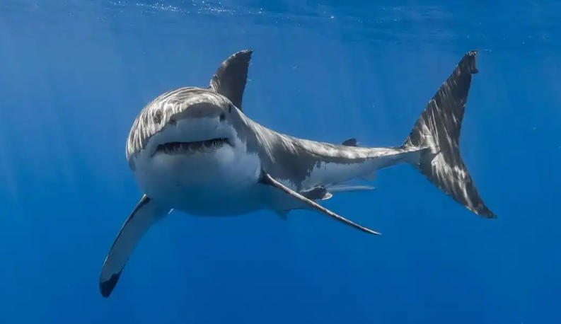 独立控制面板轮播图3